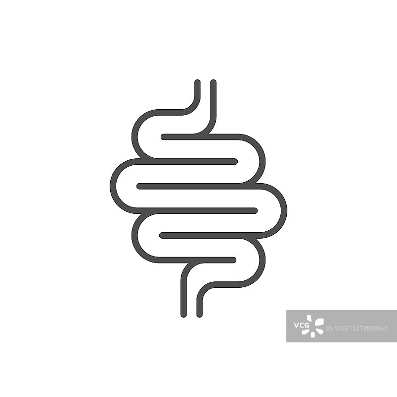 肠道线条图标或消化系统符号图片素材
