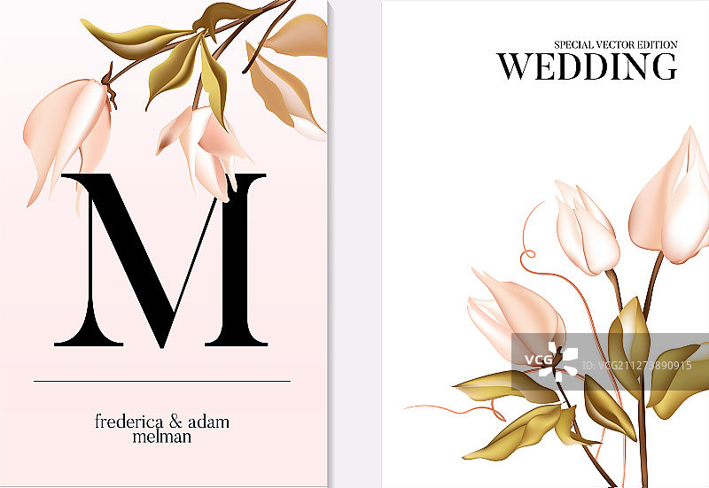 植物风格婚礼贺卡，娇嫩的软玫瑰图片素材