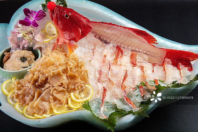 东星斑鱼图片素材