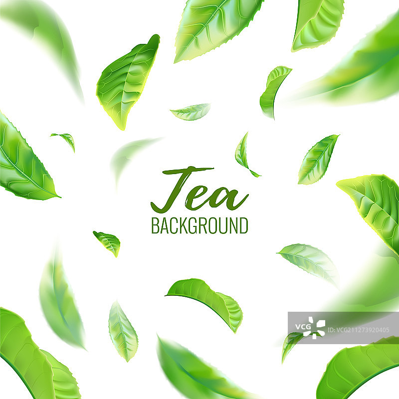 逼真的绿茶叶背景图片素材