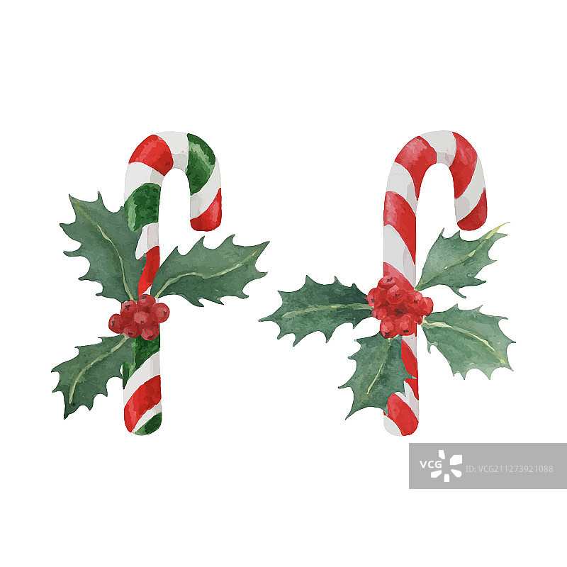 带有冬青的糖果棒图片素材