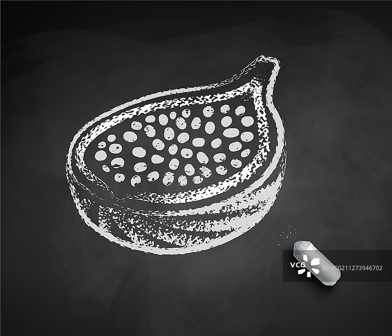 手绘半个无花果图片素材