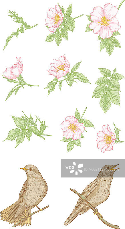 SH合集图片素材