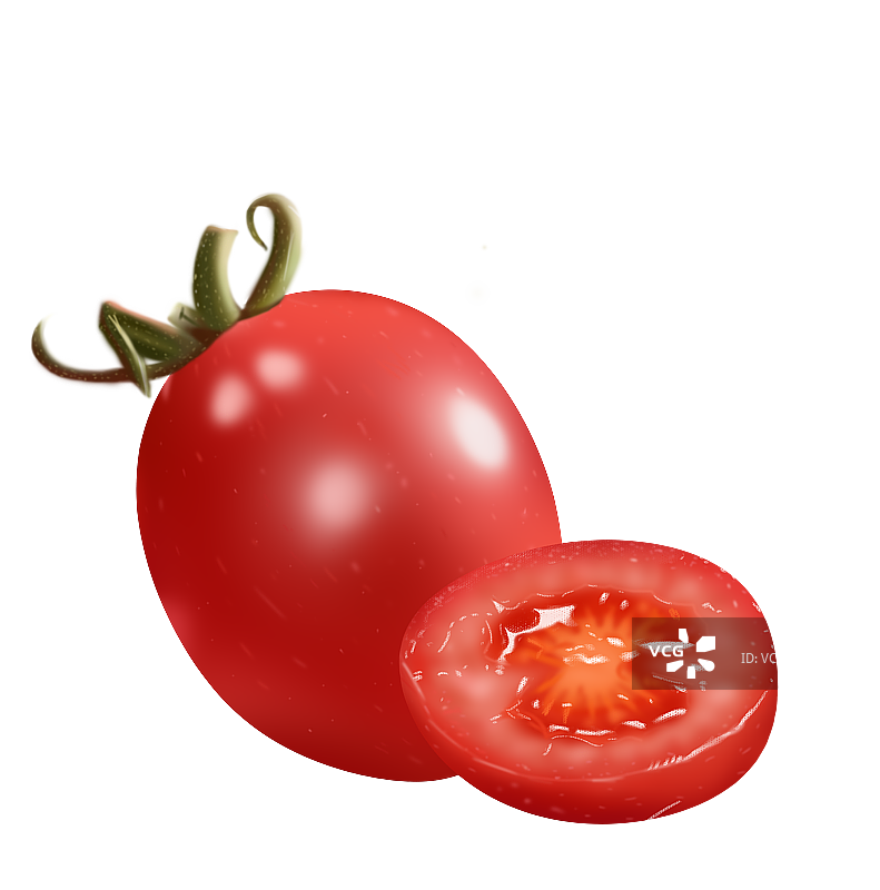 小番茄图片素材