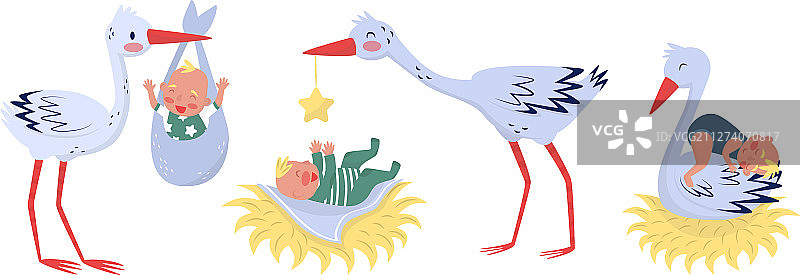 可爱的鹳送新生婴儿回家图片素材