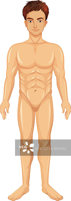 白色背景上的裸体男人图片素材