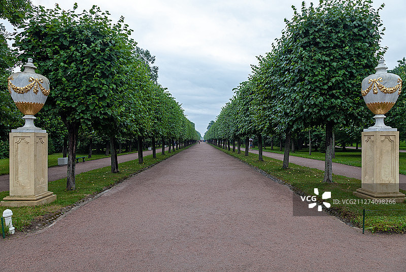 夏宫皇家园林的道路图片素材