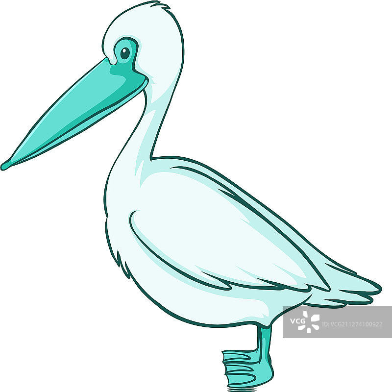 白色背景上的绿色鹈鹕图片素材