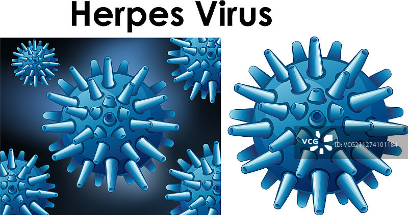 疱疹病毒分离对象特写图片素材