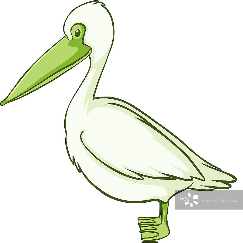 白色背景上的绿色鹈鹕图片素材