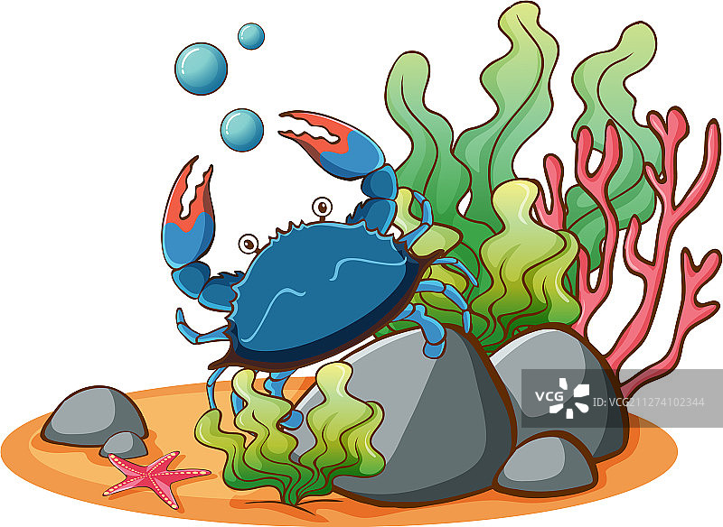 白色背景上的蓝色水下螃蟹图片素材