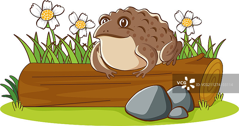 孤立的原木上的棕色蟾蜍图片图片素材