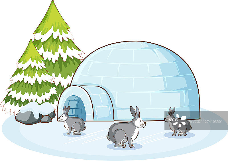 冬季的兔子图片素材