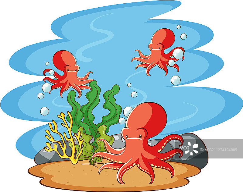 海中畅游的章鱼图片素材