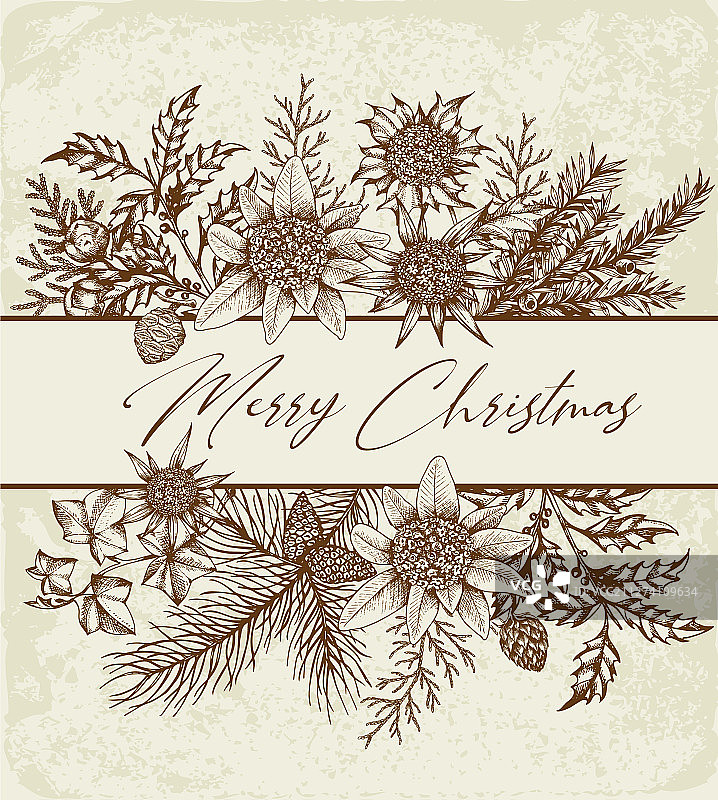 复古风圣诞节花卉贺卡图片素材