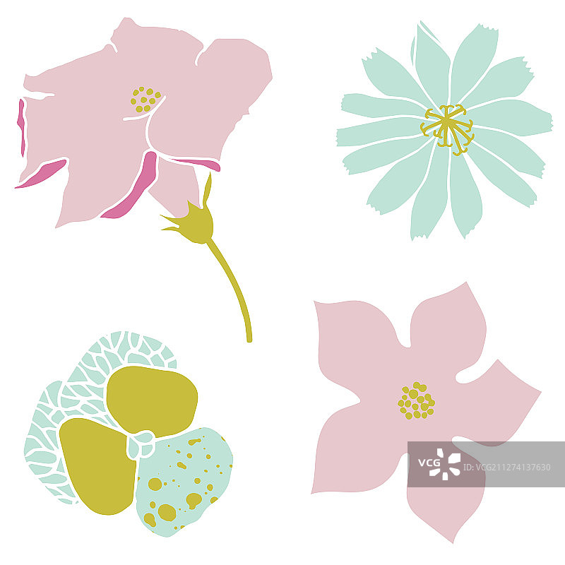 可爱紫罗兰花朵图片素材