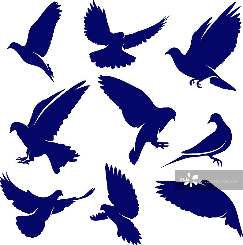 鸽子标志设计概念鸟类标志图片素材