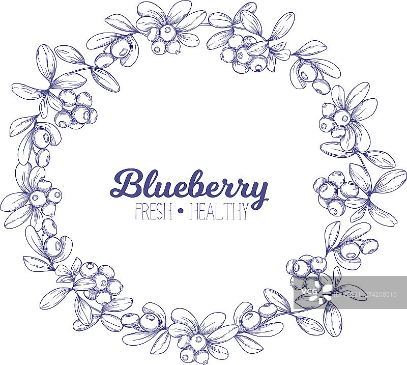 用于设计的蓝莓元素图片素材