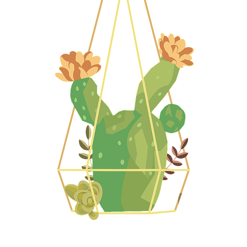 植物花卉平面仙人掌图片素材