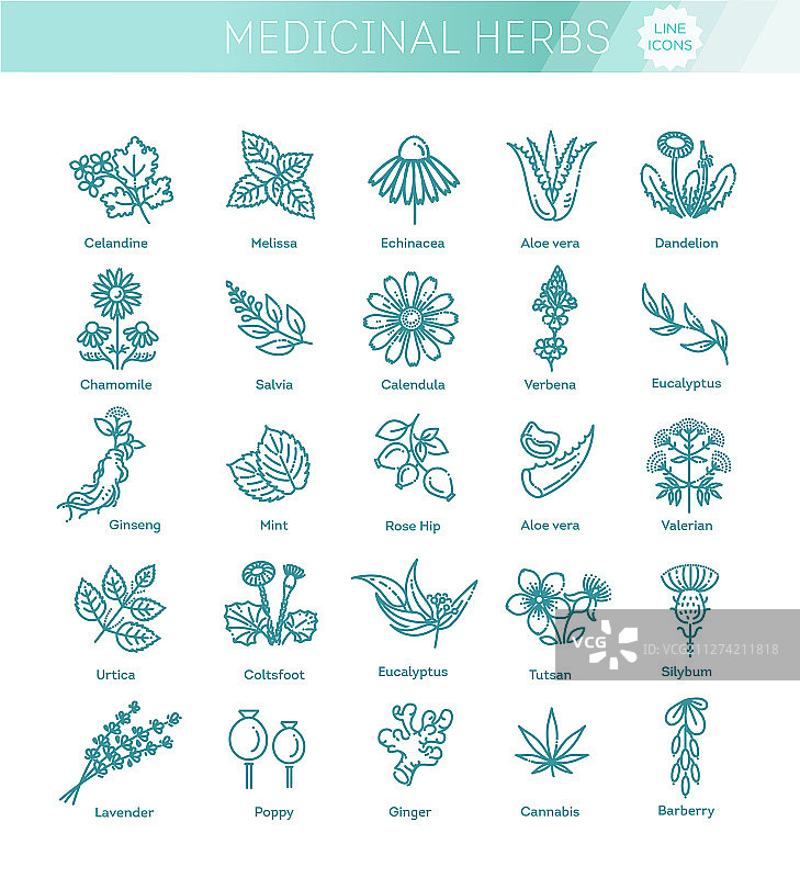 医疗健康草药和花卉图片素材