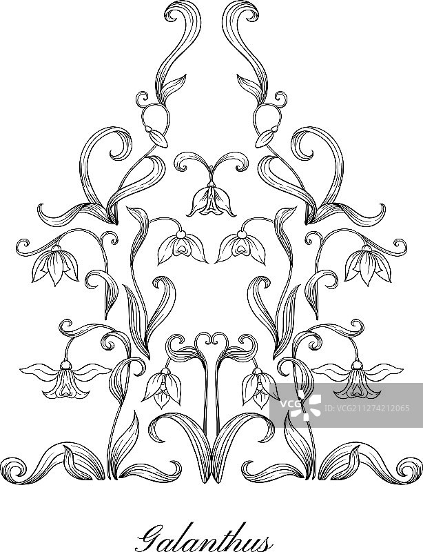 雪花莲元素图片素材