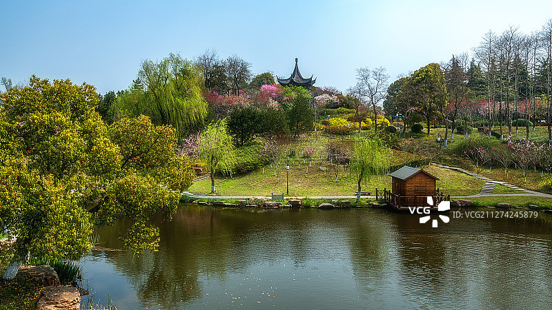 泰州桃园风光图片素材