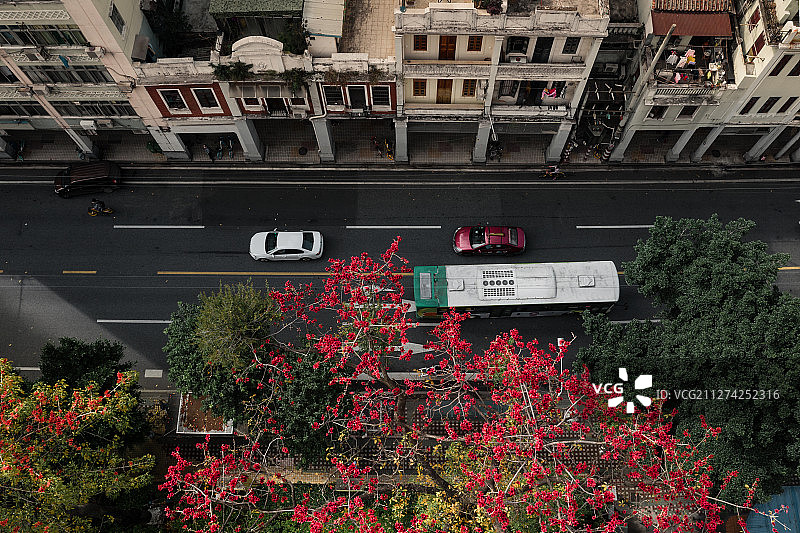 骑楼与木棉花图片素材