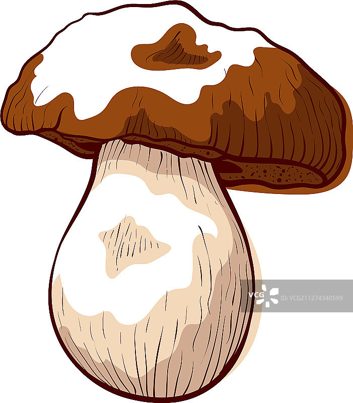新鲜食用美味牛肝菌图标图片素材