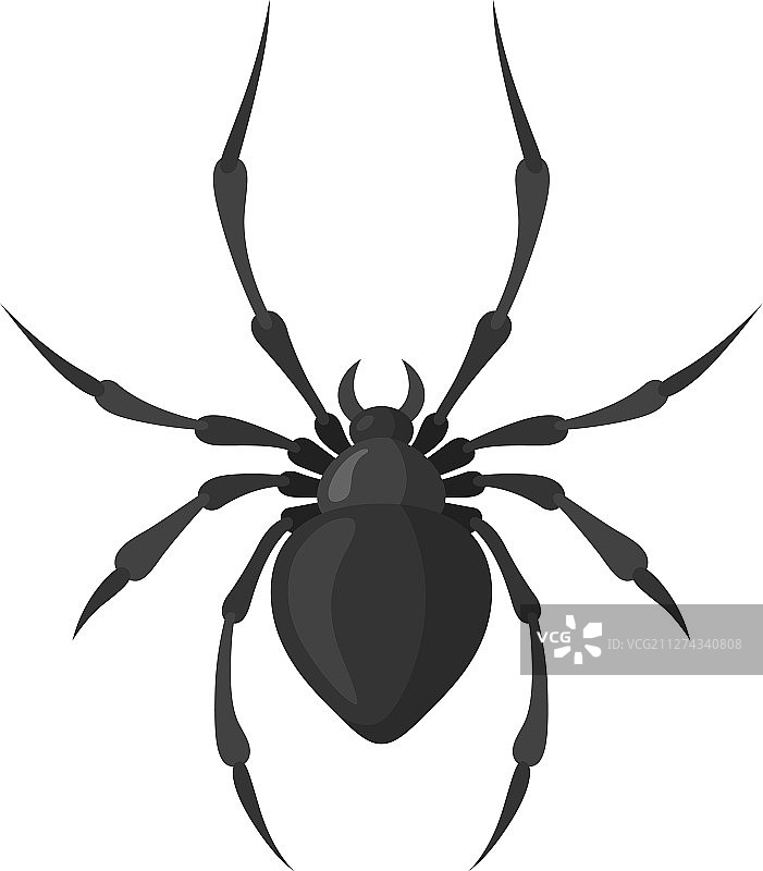 黑色蜘蛛图标令人毛骨悚然的昆虫符号图片素材
