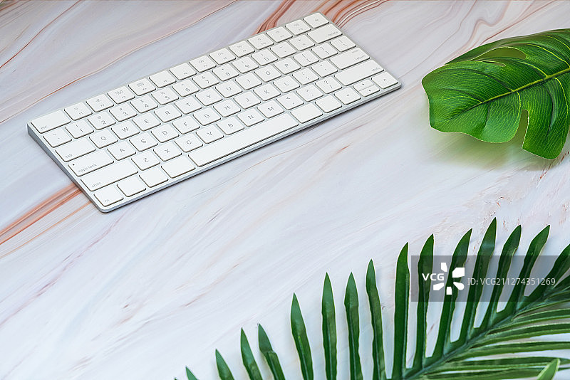 绿色植物和键盘图片素材