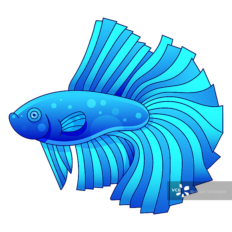 观赏鱼斗鱼儿童成人适用图片素材