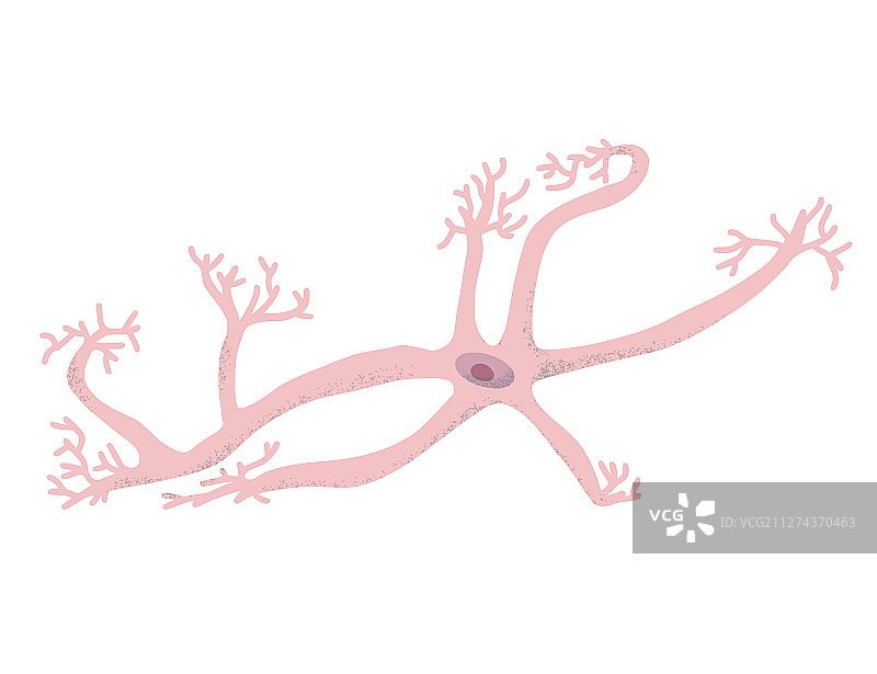 神经元细胞简易设计图片素材