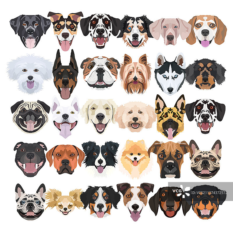 许多快乐漂亮的狗狗图片素材