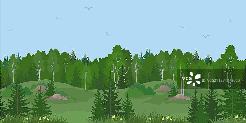 无缝夏季森林景观图片素材