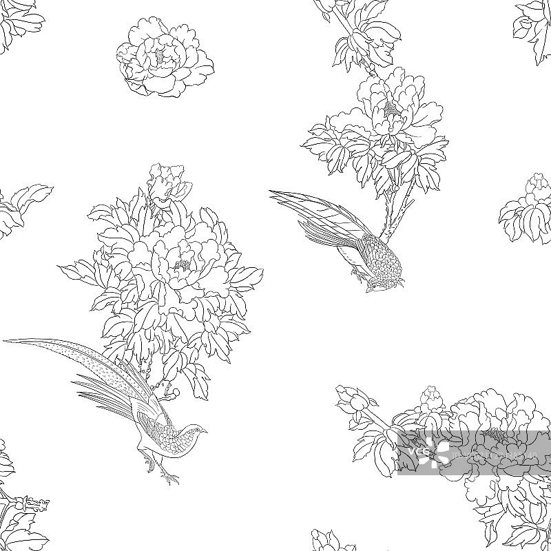 牡丹花枝与野鸡图片素材