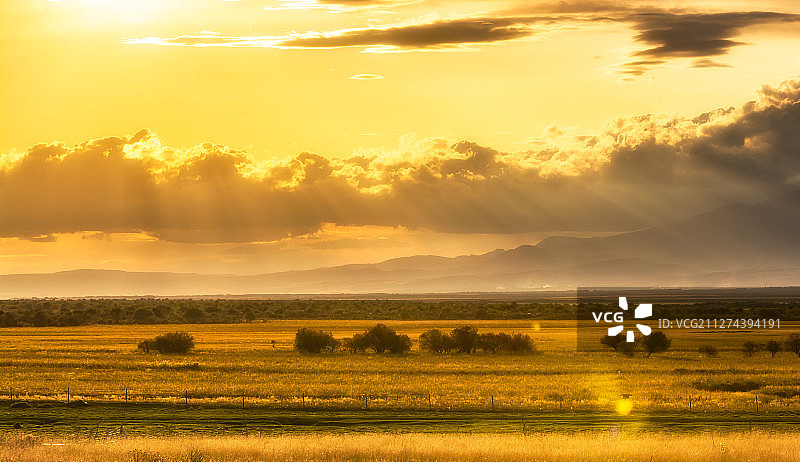 金秋伊犁河谷大草原图片素材