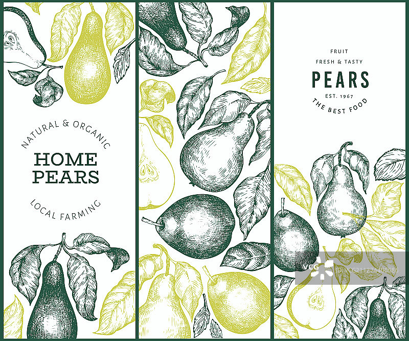 手绘花园水果梨设计图案图片素材
