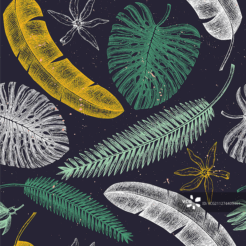 热带植物无缝图案背景图片素材