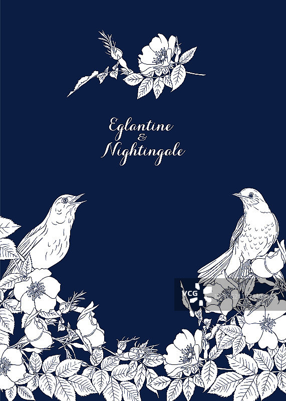 野蔷薇和夜莺图片素材