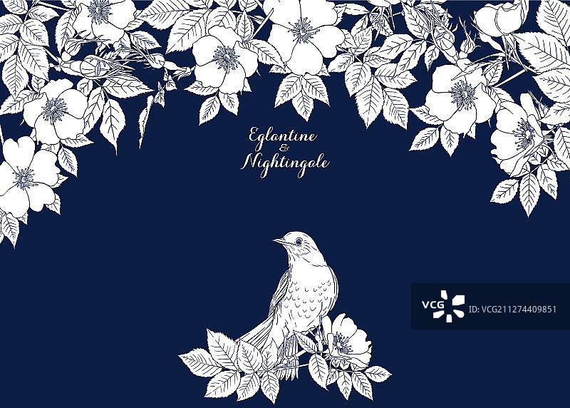 野蔷薇和夜莺图片素材