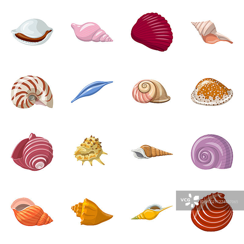 贝壳和软体动物符号设计套装图片素材