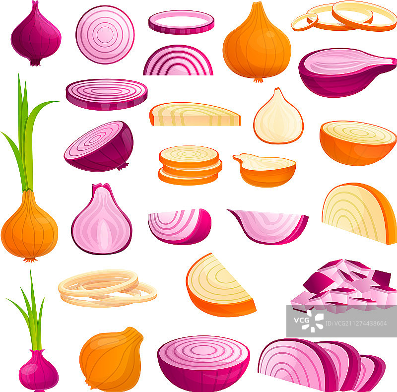 卡通风格洋葱图标集图片素材