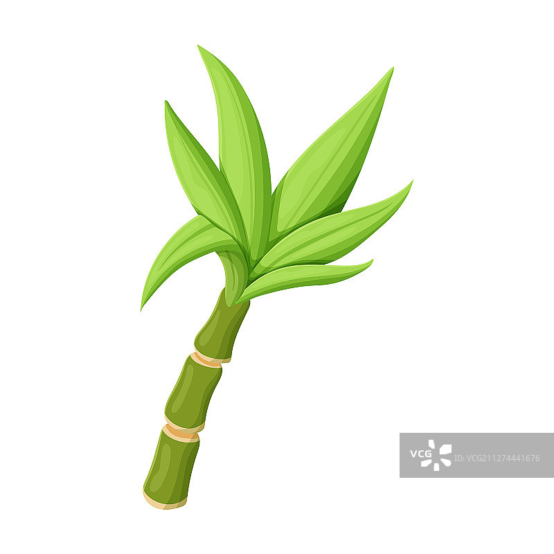 甘蔗叶卡通图标图片素材