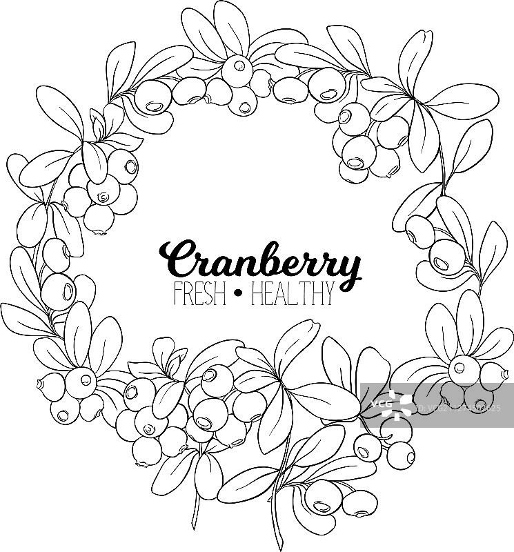 蔓越莓设计元素图片素材
