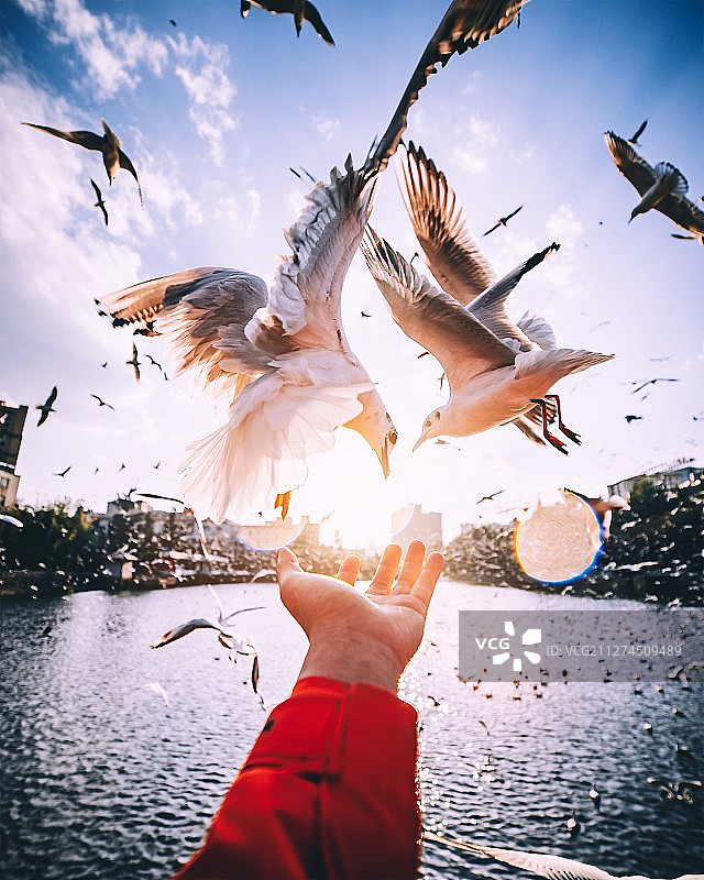 昆明的白色精灵图片素材