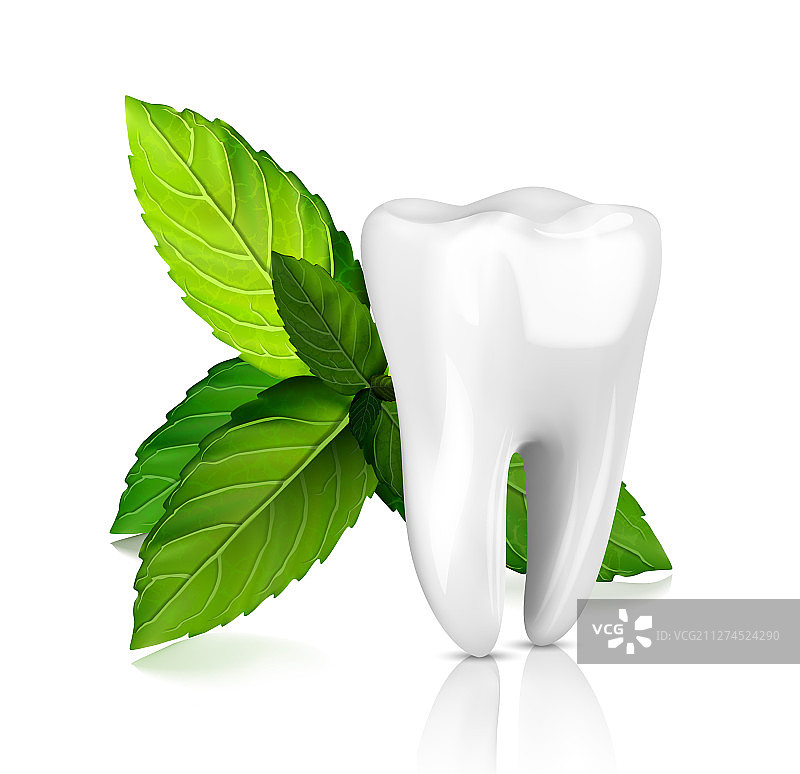 白色背景草本植物瓶子特写图片素材