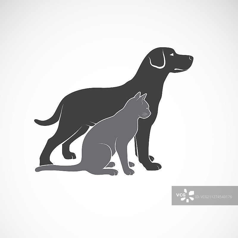 白色背景上的猫狗设计动物图片素材