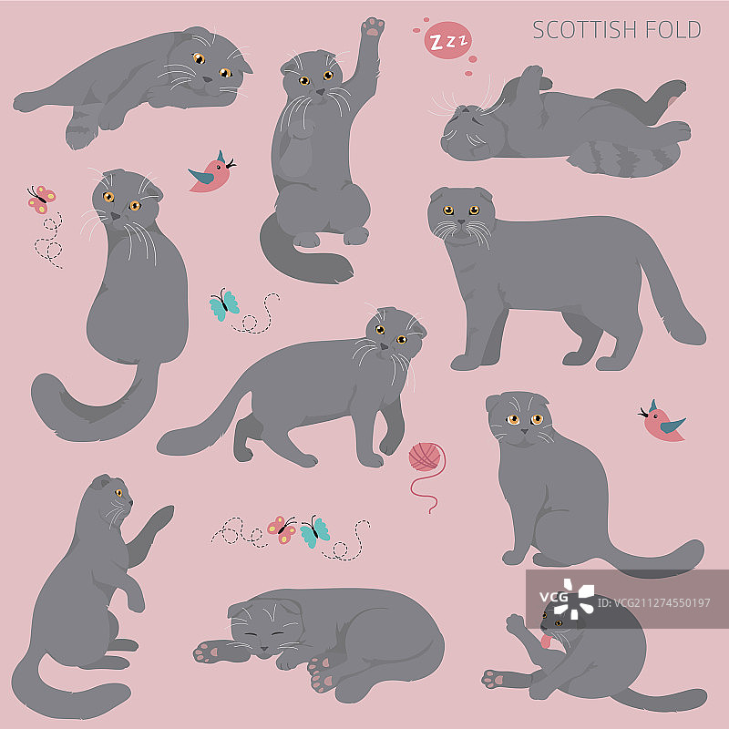 卡通猫角色合集：苏格兰折耳猫图片素材