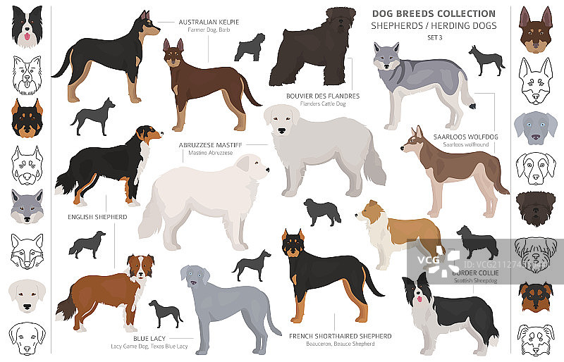 牧羊人和牧羊犬合集图片素材