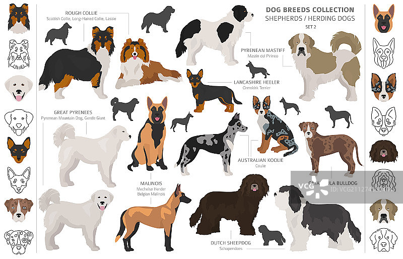 牧羊人和牧羊犬合集图片素材